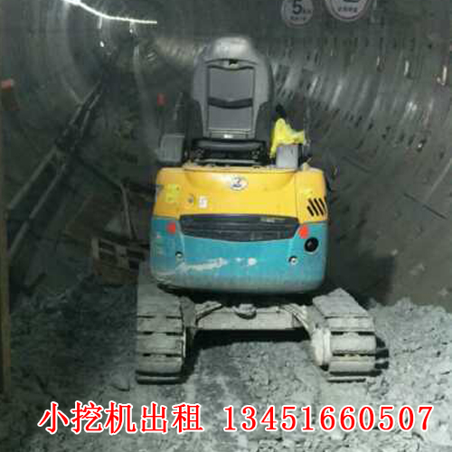 微型小挖機(jī)租賃的應(yīng)用廣泛，今天帶大家來了解一下！(圖1)